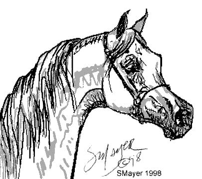 Kolorowanki dla dzieci kolorowanki